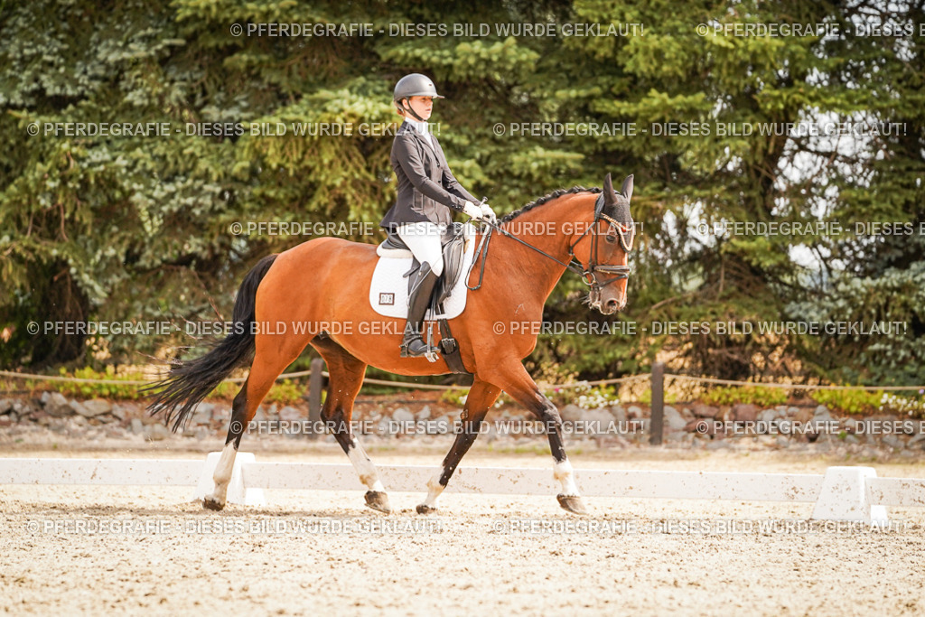 DSC01843 | Pferdegrafie