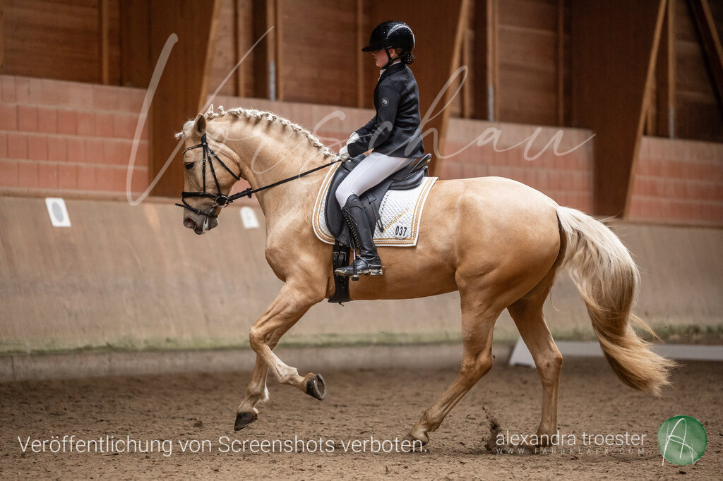 260328_Barop_06_041 | farbklaex.com