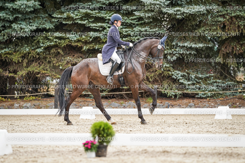 DSC07678 | Pferdegrafie