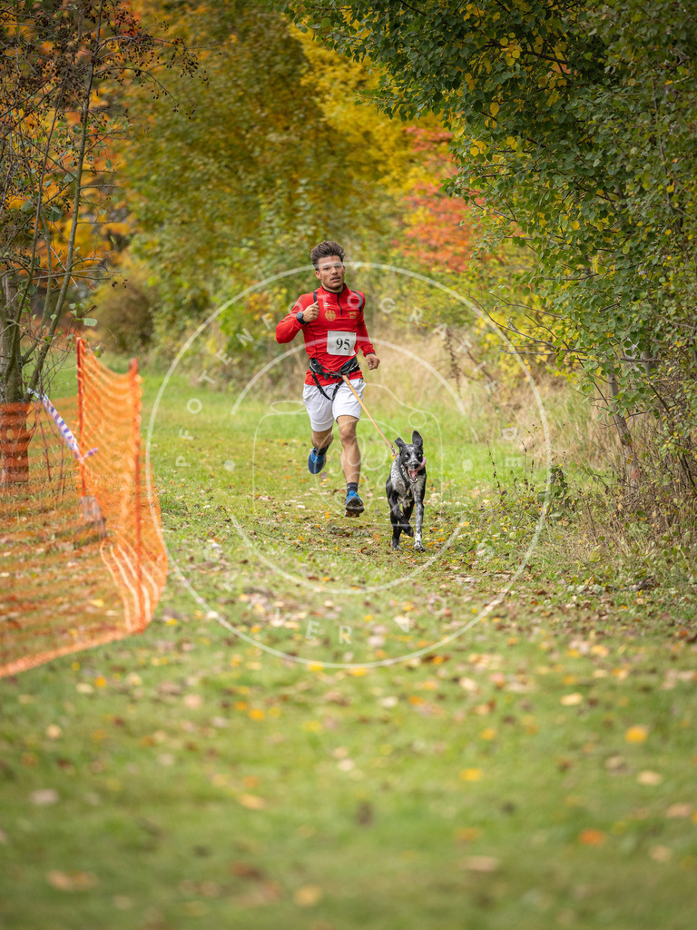 Pfotenfotografie_DV3A3333 | Hundefotografie, Tierfotograf, Pfotenfotografie, Fotoshooting Hund, Hunde Portrait, Hundesport, Hundeportraits, Heideshooting, Hunde, Sportfotograf, Hundefotograf, Turnierhundsport, THS,  - Realisiert mit Pictrs.com