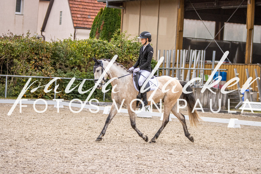 IMG_2773 | Erleben Sie dynamische Sport- und emotionale Tierfotografie in Süddeutschland mit Fotos von Paula. Spezialisiert auf Pferde- und Hundefotografie sowie Sportevents. Kontaktieren Sie mich für einzigartige und ausdrucksstarke Bilder Ihrer besonderen Momente. - Realisiert mit Pictrs.com