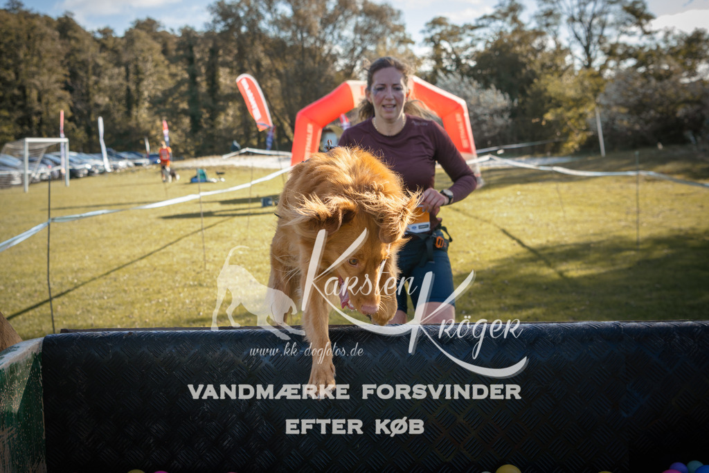 1200_ZZ94192 | kk-dogfotos