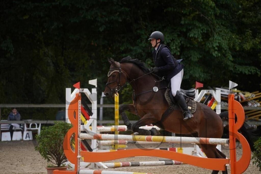 rveinoedsonntag (1036) | d.tail Visions - Shop - Realisiert mit Pictrs.com