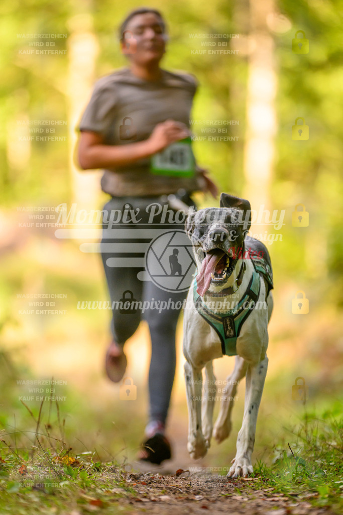 MompixPhotography_Yens2025_B3-222 | PayLife