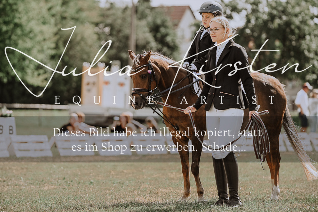 DSC_7644 | Pferde- und Turnierfotografie in Westsachsen. Pferdeportraits, Auftragszeichnungen und intuitive Kunst.