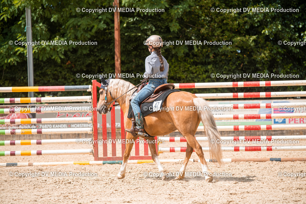 EWP_6662 | dv-media-shop - Realisiert mit Pictrs.com