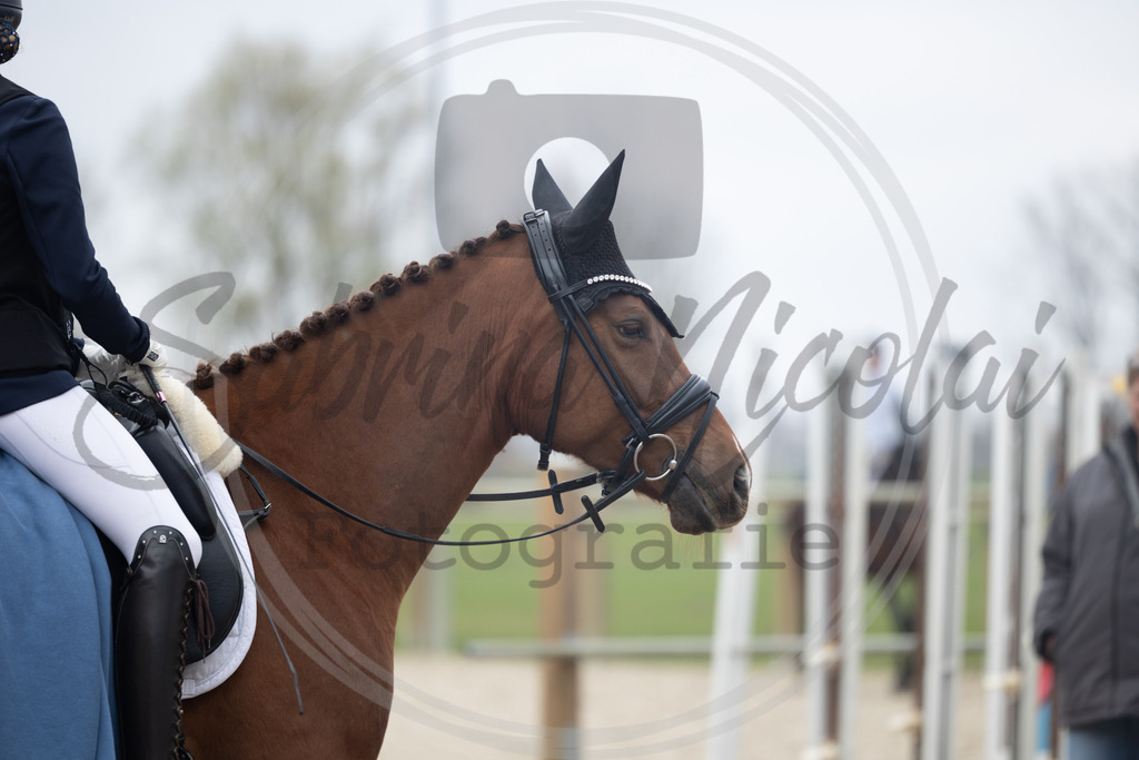 994A8560 | sabrinanicolaifotografie - Realisiert mit Pictrs.com