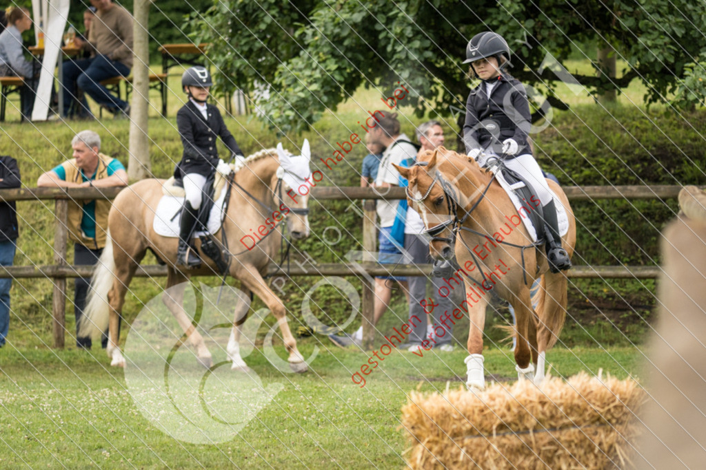 IMG_1788 | Sport-, Event- und Tierfotos in Profiqualität. Einfach auswählen, bestellen und herunterladen. Dein Moment – perfekt festgehalten.