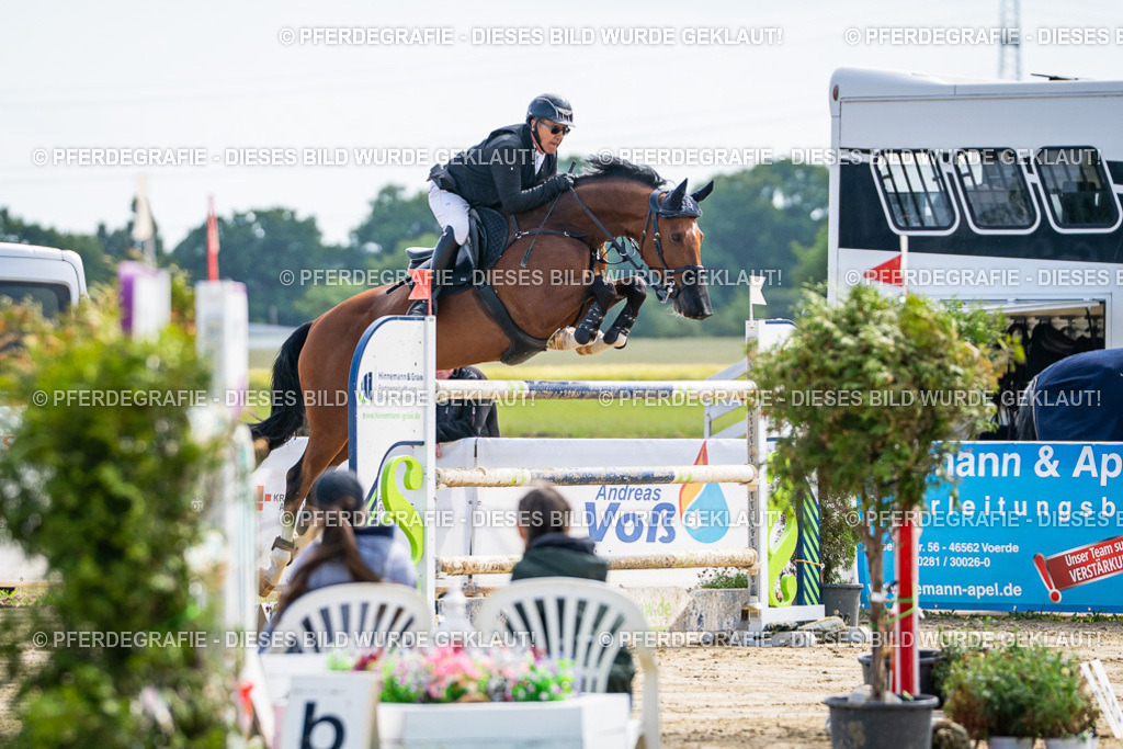 DSC06637 | Pferdegrafie