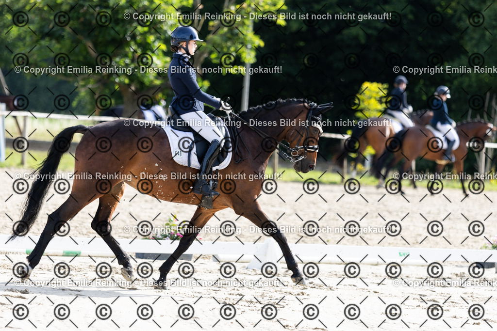 CL5A5545 | Emilia Reinking Fotografie - Realisiert mit Pictrs.com