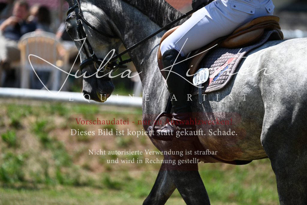 DSC_0541 | Pferde- und Turnierfotografie in Westsachsen. Pferdeportraits, Auftragszeichnungen und intuitive Kunst.