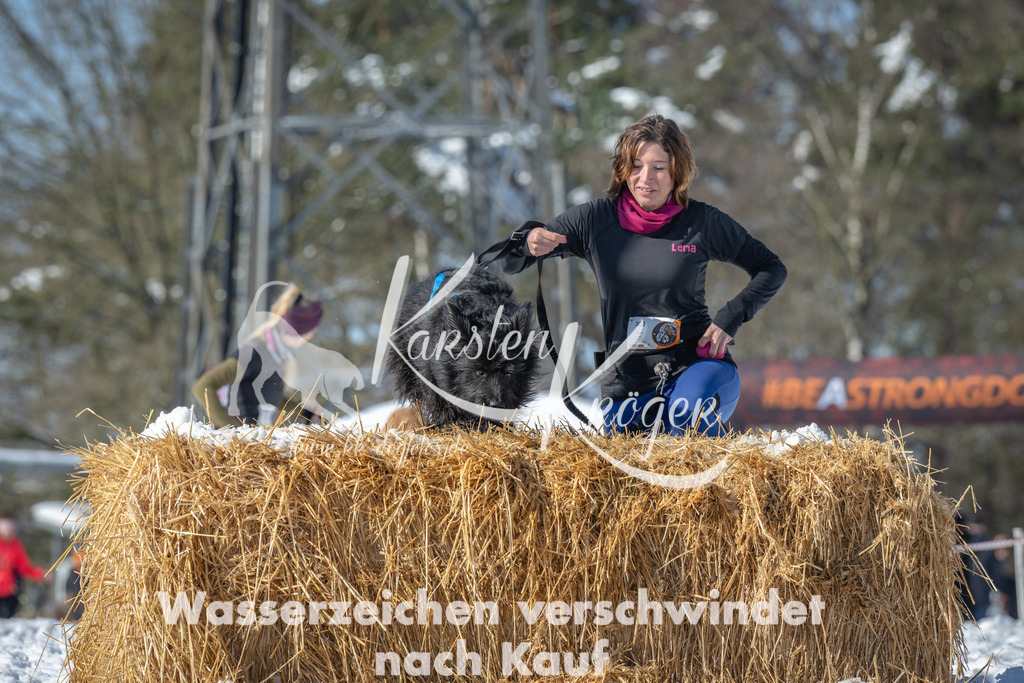 1140_ZZ90526-4 | kk-dogfotos