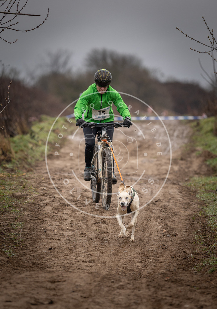 DV3A8963 | Hundefotografie, Tierfotograf, Pfotenfotografie, Fotoshooting Hund, Hunde Portrait, Hundesport, Hundeportraits, Heideshooting, Hunde, Sportfotograf, Hundefotograf, Turnierhundsport, THS,  - Realisiert mit Pictrs.com