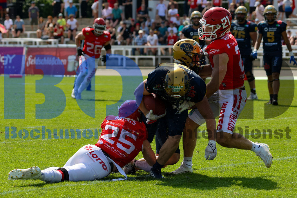 GFL: Potsdam Royals vs. Dresden Monarchs{date} -  | {headline}(Foto: Thomas Sobotzki / BOND) - Realisiert mit Pictrs.com