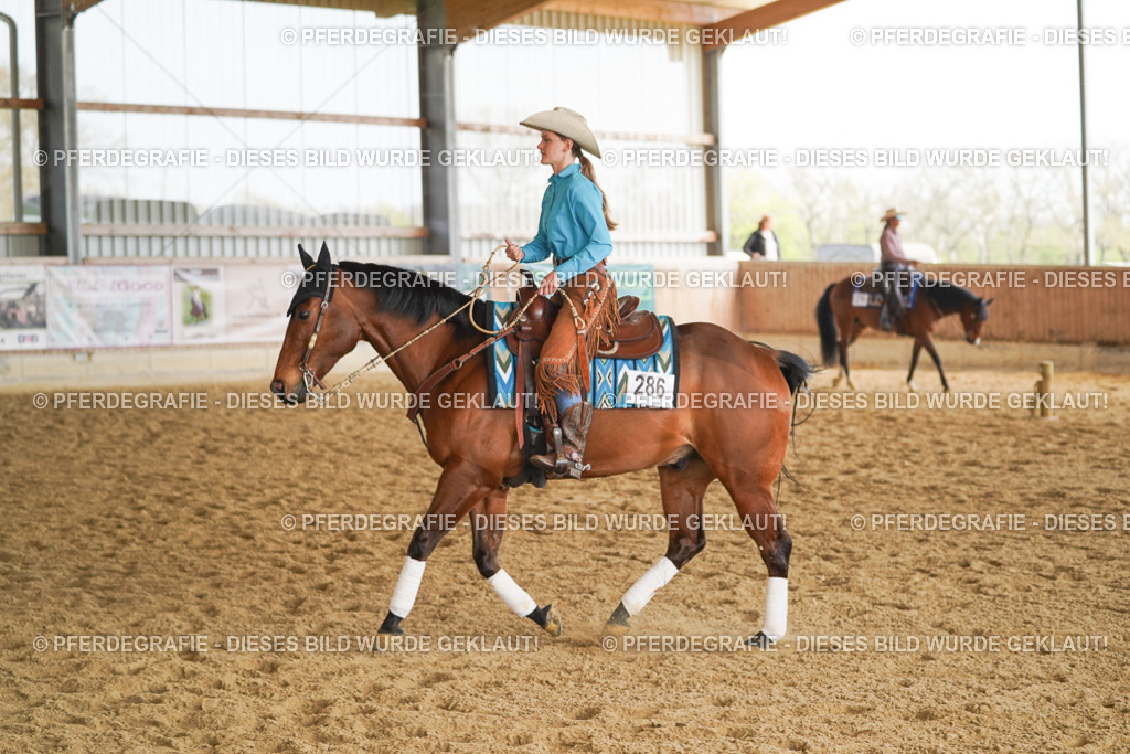 DSC00862 | Pferdegrafie