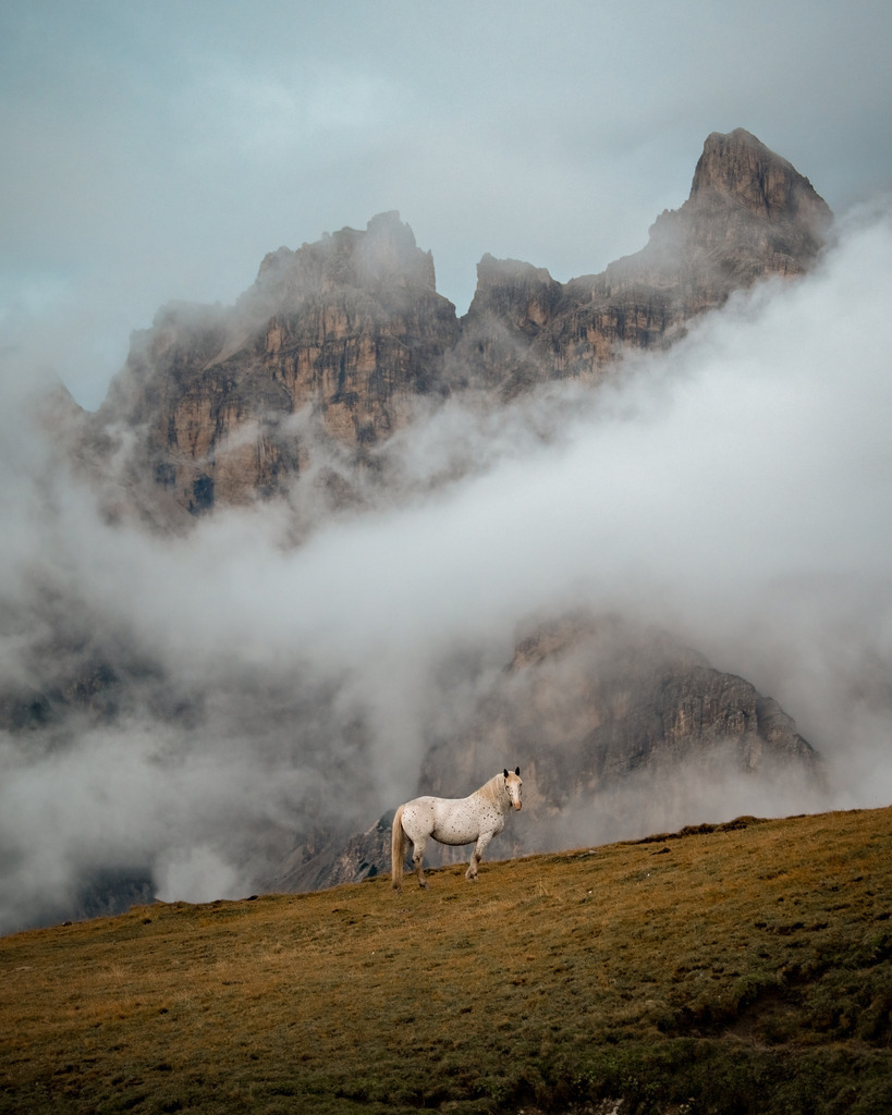 DSC_3201-Bearbeitet-Bearbeitet | Ich bin Fotograf aus Neuburg an der Donau und spezialisiere mich auf Wildlife-Fotografie, Landschaftsaufnahmen und Portraits.Ob Hochzeit, Familienbilder oder Naturaufnahmen – ich fange echte Momente ein, die bleiben. 