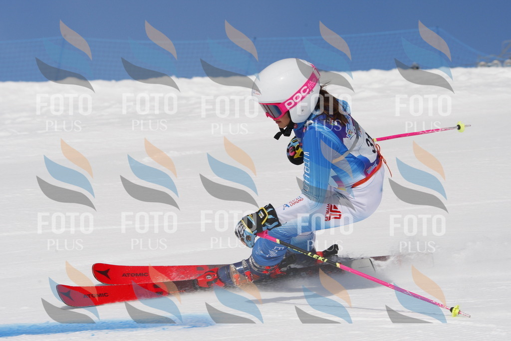 _W1G0425 | holidayphoto