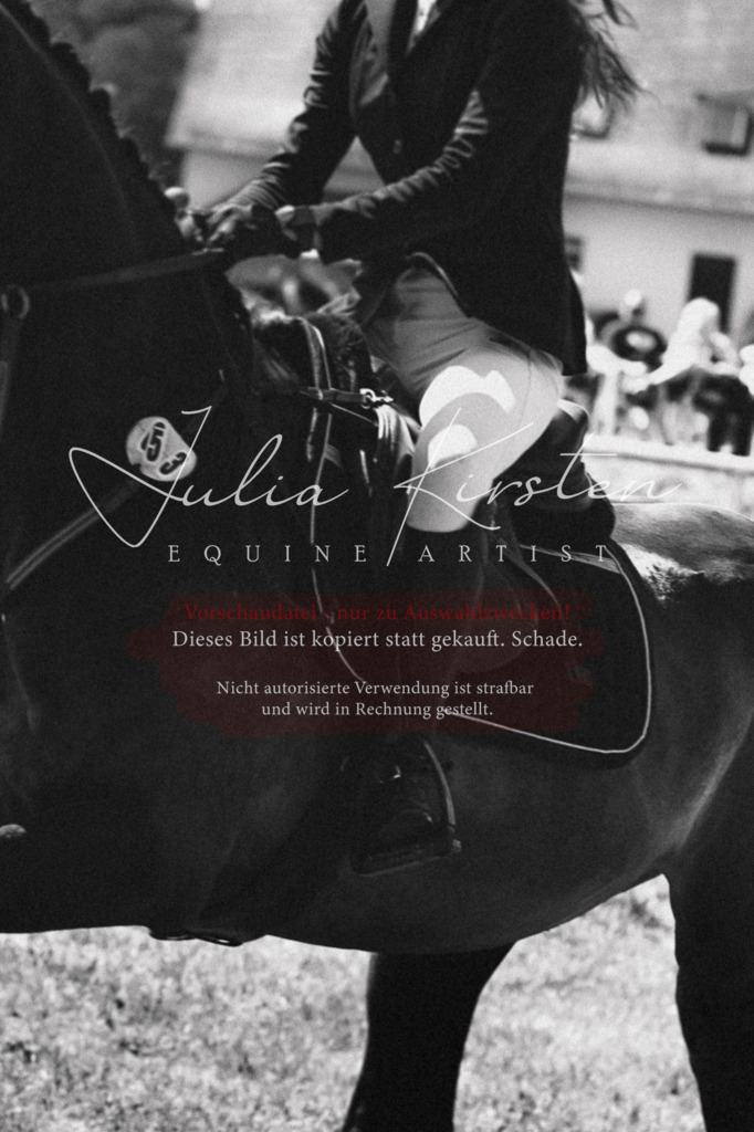 DSC_0457 | Pferde- und Turnierfotografie in Westsachsen. Pferdeportraits, Auftragszeichnungen und intuitive Kunst.