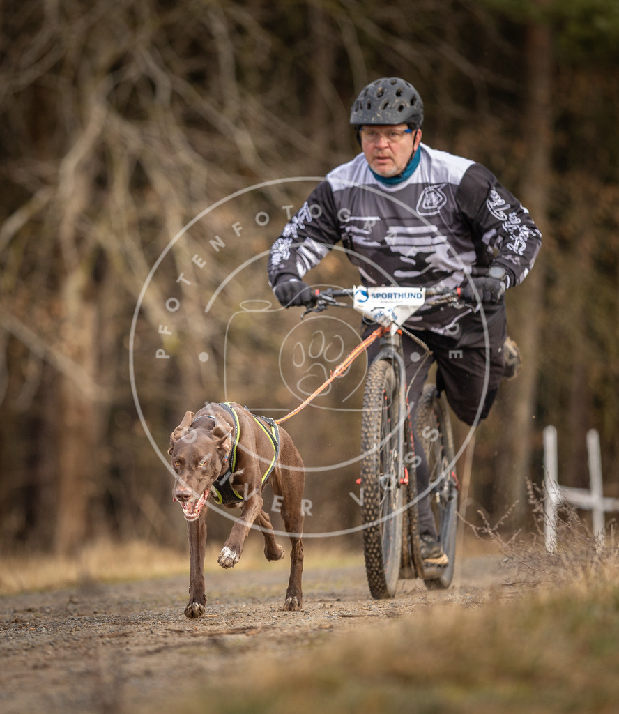 DV3A3450 | Hundefotografie, Tierfotograf, Pfotenfotografie, Fotoshooting Hund, Hunde Portrait, Hundesport, Hundeportraits, Heideshooting, Hunde, Sportfotograf, Hundefotograf, Turnierhundsport, THS,  - Realisiert mit Pictrs.com