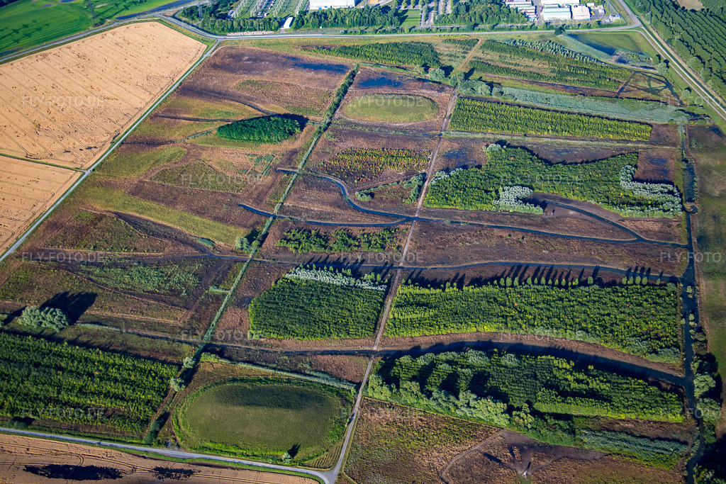 Luftbild: Biotope auf der Rheinschanzinsel in Philippsburg im Bundesland Baden-Württemberg in Deutschland. Foto: IMG_091734.jpg vom 10.07.2016 durch Werner Riehm/FLY-FOTO.de