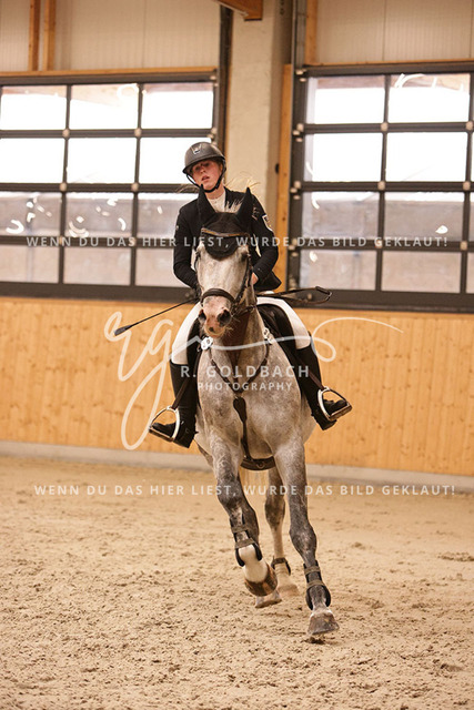 1J2A4207Alina Maack_ Karat du Scal__ Kn302_ Hohen Wieschendorf_ Glantz | Foto- und Videografie für alles rund ums Pferd. Hochwertige Bilder und Videos vom Spring- und Dressurreiten, Voltigieren & mehr. Jetzt aktuelle Veranstaltungen und Preise im Shop ansehen. - Realisiert mit Pictrs.com