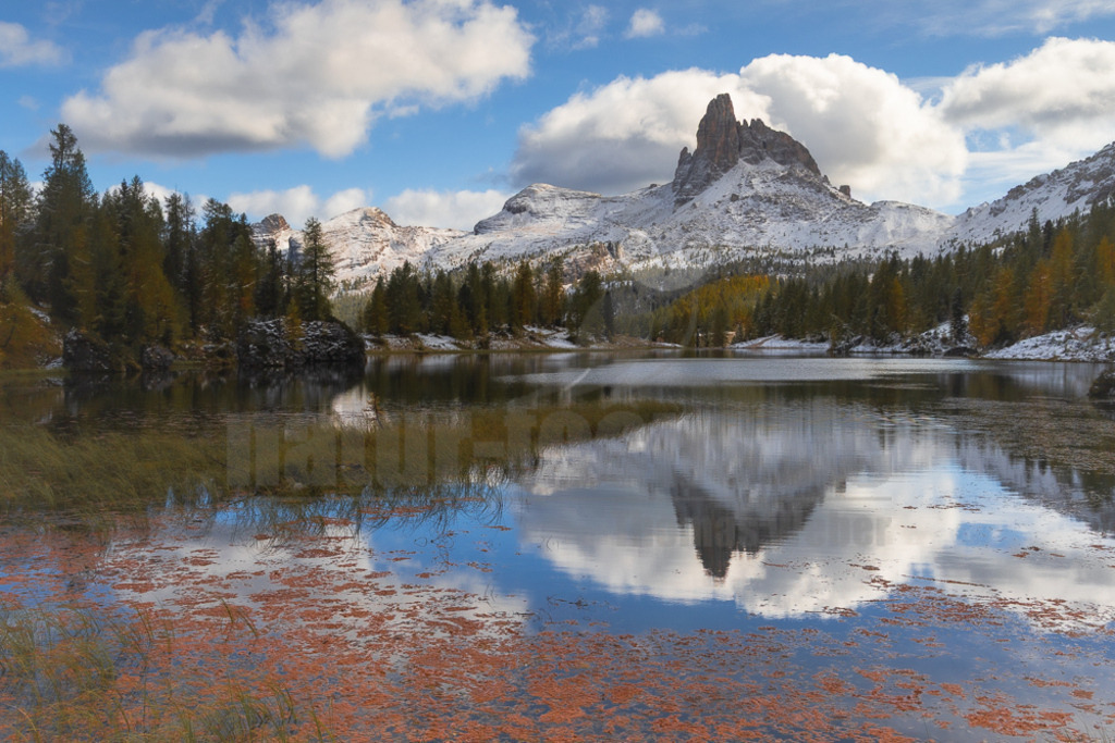 R6NF7159_20251005 | Der Bildershop von www.natur-focus.de bietet ihnen den einfachen Kauf von Bildmaterial per Download aus allen Bereichen der Natur. In den Galerien finden sie Landschaftsfotos, Tierbilder und natürlich auf Pflanzenfotos. - Realisiert mit Pictrs.com