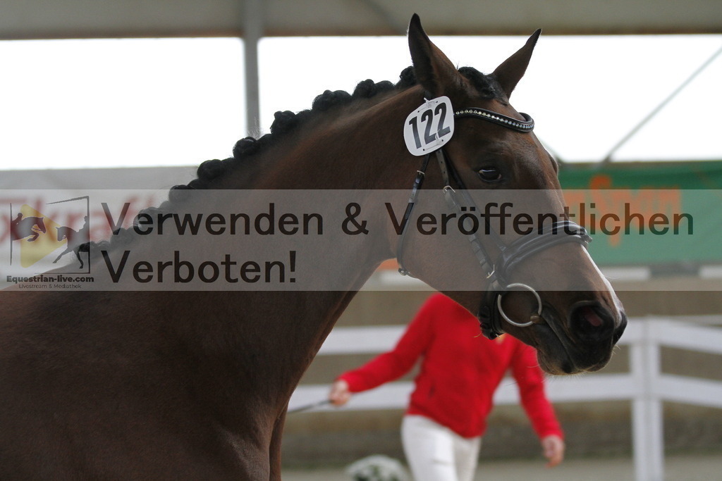 _MG_9572 | equestrian-live-com
