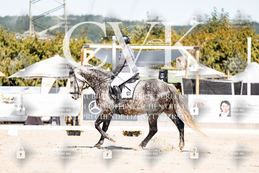 CK909044 | Turnierfotografie Pferdefotografie Trier Rheinland-Pfalz Pferdesport Reitsport Tierfotografie Sportfotografie Pferdevideo Pferdevideografie Equestrianvideography equestrianphotography  - Realisiert mit Pictrs.com