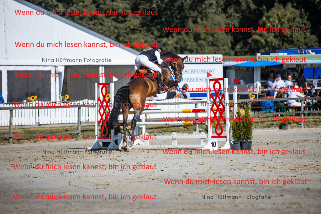 BK1A5835 | Turnierbilder Turnierfotos Nina Hüffmann Turnierfotografie Pferdefotografie Tierzeichnung Haustierzeichnung Pferdezeichnung Hundezeichnung Videograf  - Realisiert mit Pictrs.com