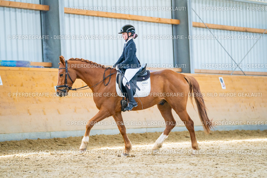 DSC08400 | Pferdegrafie