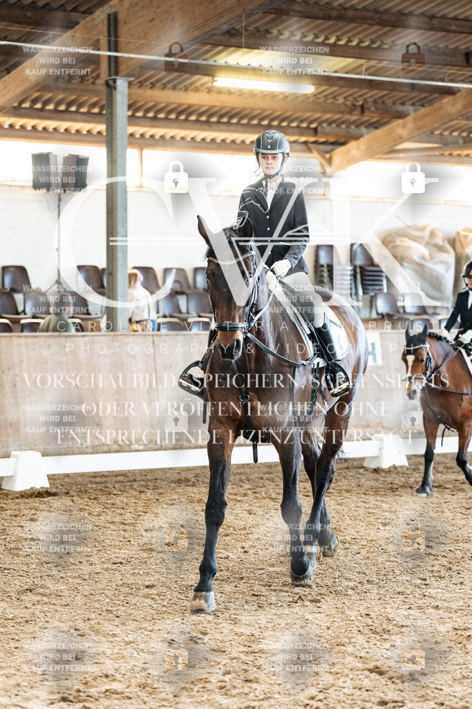 CK900358 | Turnierfotografie Pferdefotografie Trier Rheinland-Pfalz Pferdesport Reitsport Tierfotografie Sportfotografie Pferdevideo Pferdevideografie Equestrianvideography equestrianphotography  - Realized with Pictrs.com
