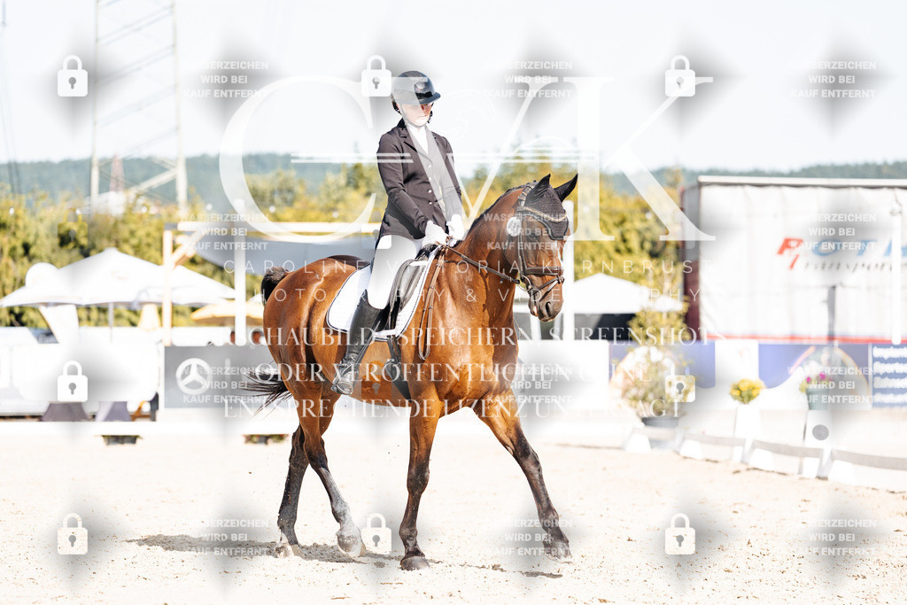 CK905692 | Turnierfotografie Pferdefotografie Trier Rheinland-Pfalz Pferdesport Reitsport Tierfotografie Sportfotografie Pferdevideo Pferdevideografie Equestrianvideography equestrianphotography  - Realisiert mit Pictrs.com