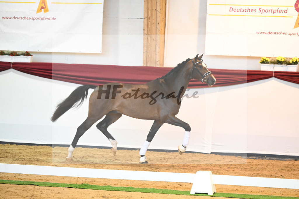 Kat-Nr. 59 v. Zalando_Kuntz_66222231 | hf-fotografie - Realisiert mit Pictrs.com