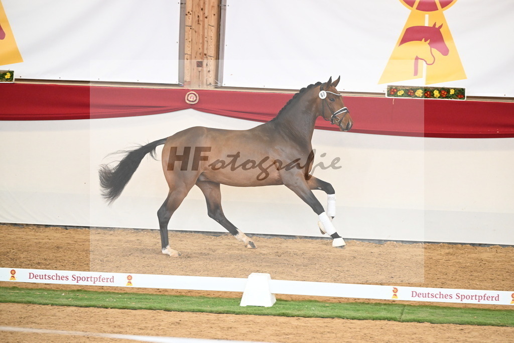 Kat.-Nr. 67 v. Fürstenball_Niehe_2250543 | hf-fotografie - Realisiert mit Pictrs.com