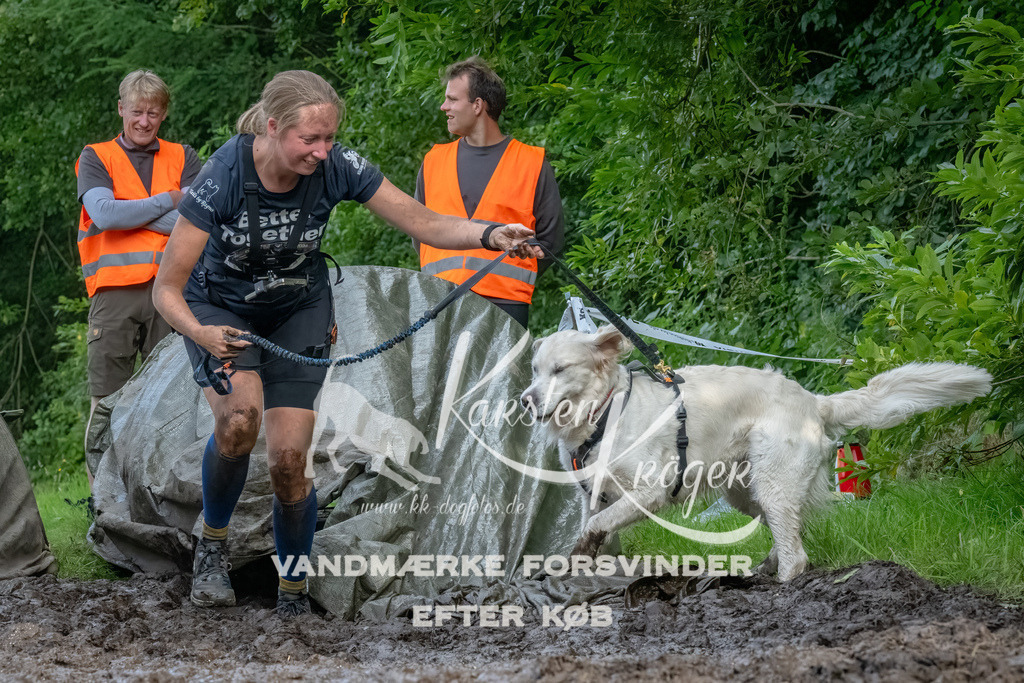 1736_ZZ92820-Bearbeitet | kk-dogfotos