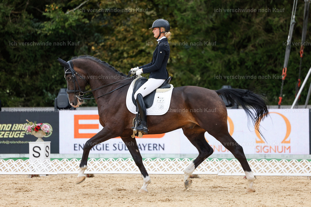 3-147-Dressur M_-StoibPH-2372 | working equitationturnier fotograf videograf stoibphotography marixx film working equitation deutschland reitsport turnierfotografie eventfotografie equestrian events