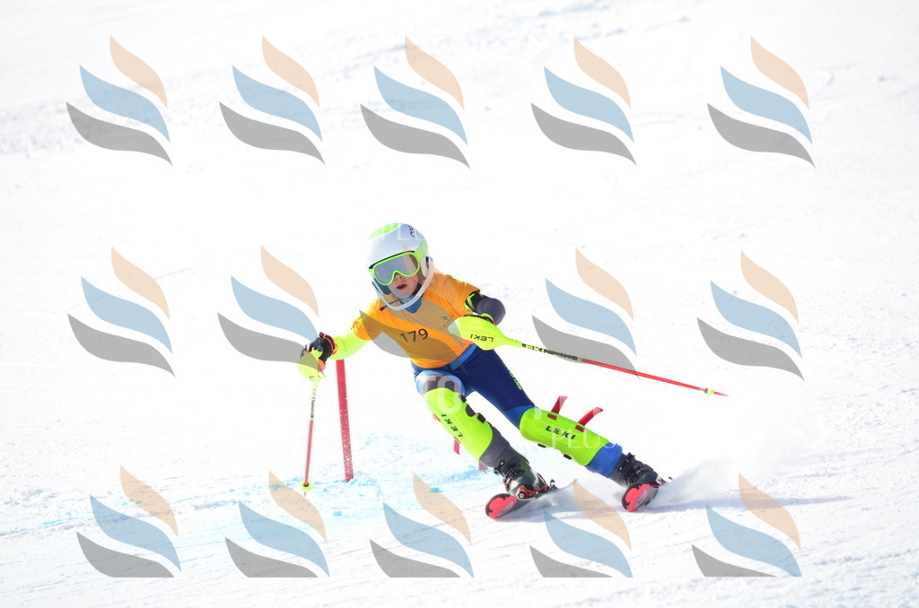 C7981 | holidayphoto