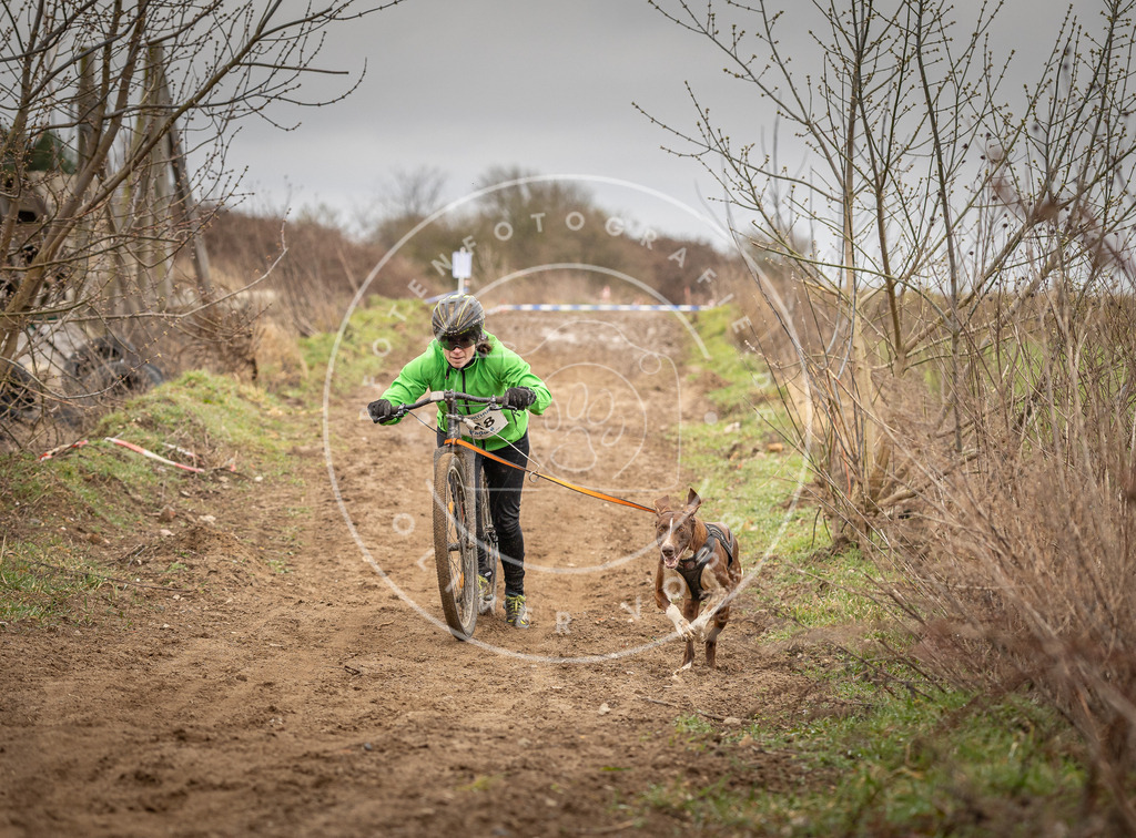 DV3A1487 | Hundefotografie, Tierfotograf, Pfotenfotografie, Fotoshooting Hund, Hunde Portrait, Hundesport, Hundeportraits, Heideshooting, Hunde, Sportfotograf, Hundefotograf, Turnierhundsport, THS,  - Realisiert mit Pictrs.com