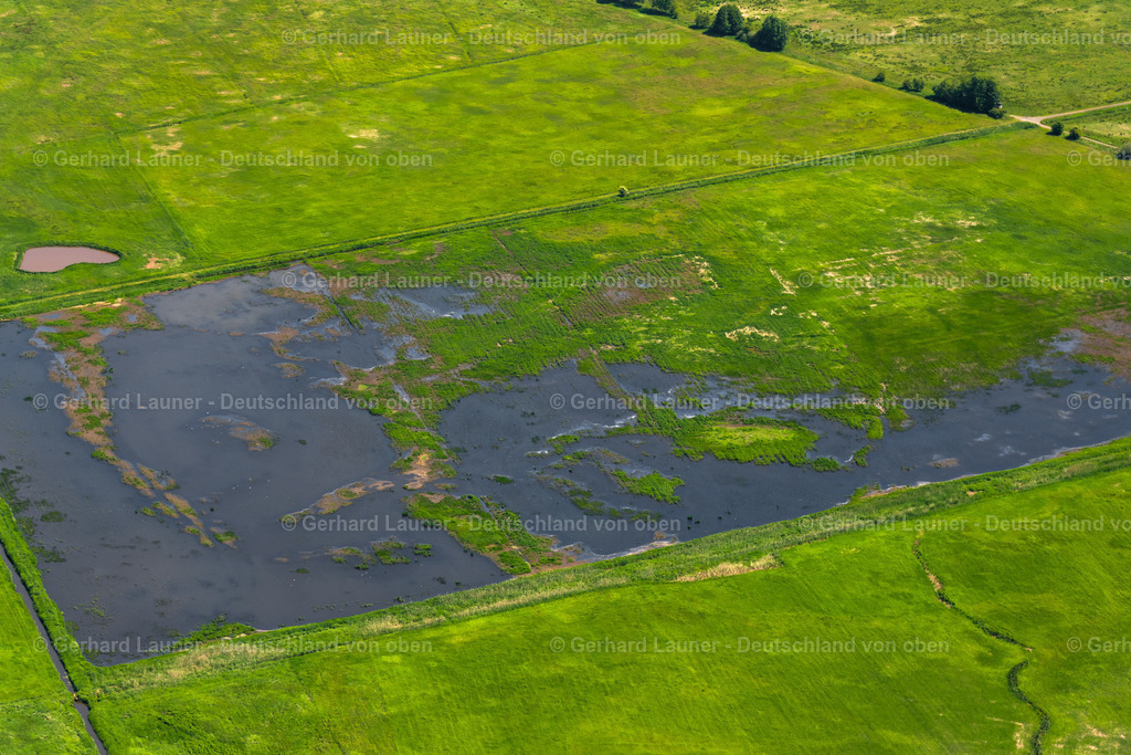 4028876 | Büttelsgraben, Naturschutzgebiet Hollerland, BREMEN 01.06.2020 Uferbereiche und überschwemmte Flutungswiesen durch Hochwasser- Pegel führendes Flußbett im Ortsteil Borgfeld in Bremen, Deutschland. // Riparian areas and flooded flood meadows due to a river bed leading to flood levels in the district Borgfeld in Bremen, Germany. Foto: Gerhard Launer
