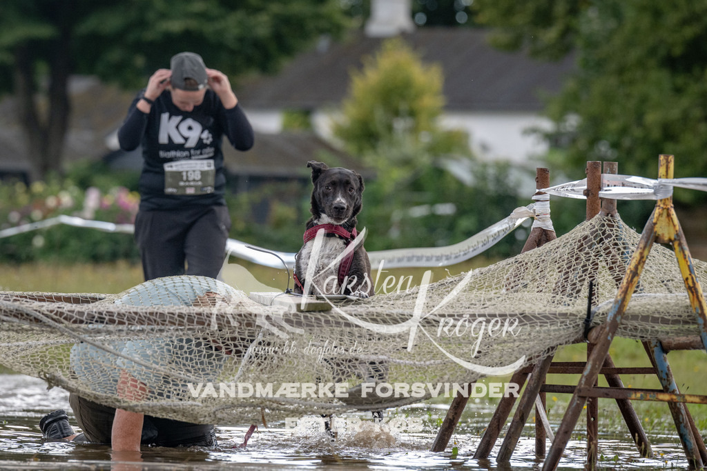 1441_ZZ90699 | kk-dogfotos