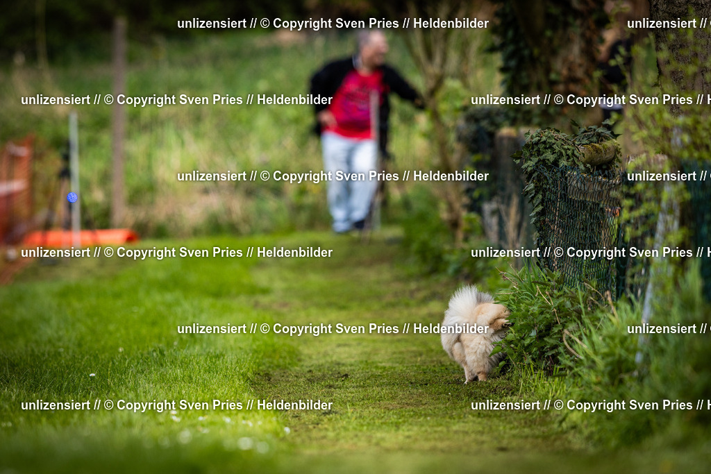 Sven Pries | 2025-04-13 - Hunderennen Baden-Baden - Realisiert mit Pictrs.com