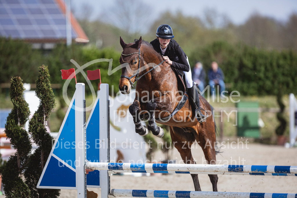 250419_Frühlingsfest_A-Stil1-426 | Deine schönsten Turniermomente als professionelle Fotos! Entdecke hochwertige Pferdesport-Fotografie im Online-Shop. Jetzt Fotos finden & bestellen!