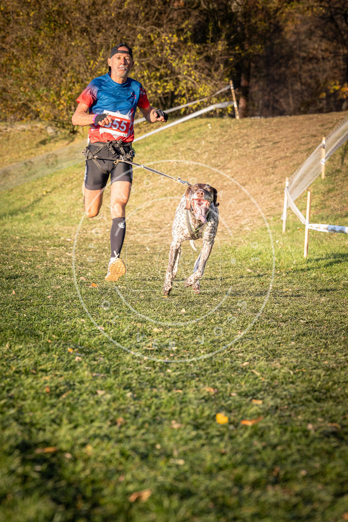 CaniXpix_0L8A0845 | Hundefotografie, Tierfotograf, Pfotenfotografie, Fotoshooting Hund, Hunde Portrait, Hundesport, Hundeportraits, Heideshooting, Hunde, Sportfotograf, Hundefotograf, Turnierhundsport, THS,  - Realisiert mit Pictrs.com