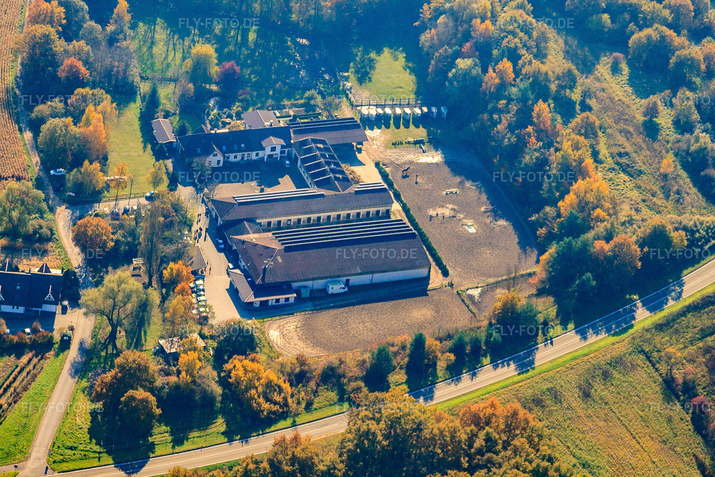 Luftbild: Pferdehof in Hagenbach im Bundesland Rheinland-Pfalz in Deutschland. Foto: IMG_35358.jpg vom 31.10.2010 durch Werner Riehm/FLY-FOTO.de