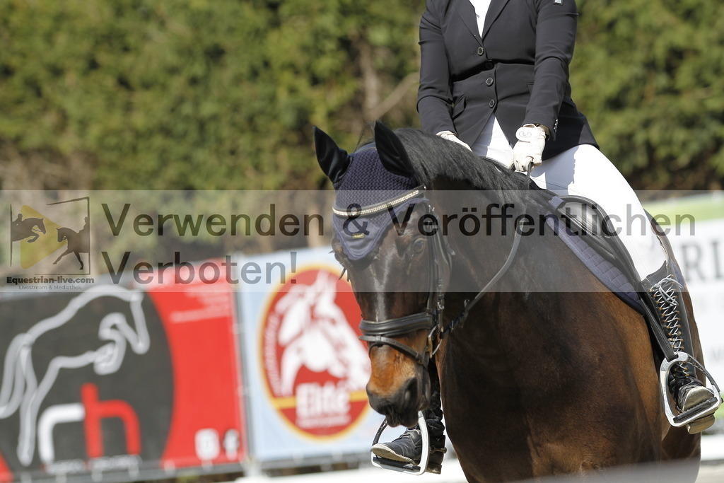 _MG_7870 | equestrian-live-com