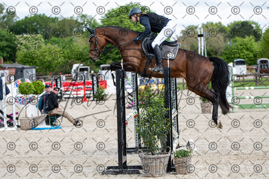 KPT_5002 | andre_photographic