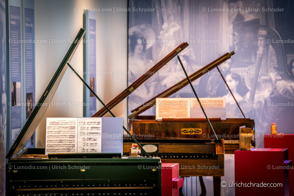 _ulrichschrader.com-95 | Stockfoto und Bilderpool mit Bildmaterial aus Deutschland, dem Harz, Halberstadt, Quedlinburg, Wernigerode und weltweit. Qualitativ hochwertige und professionelle Fotos anschauen und kaufen. - Realizzato con Pictrs.com