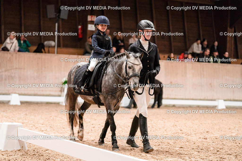 Dressur Tag 3-476 | dv-media-shop - Realisiert mit Pictrs.com