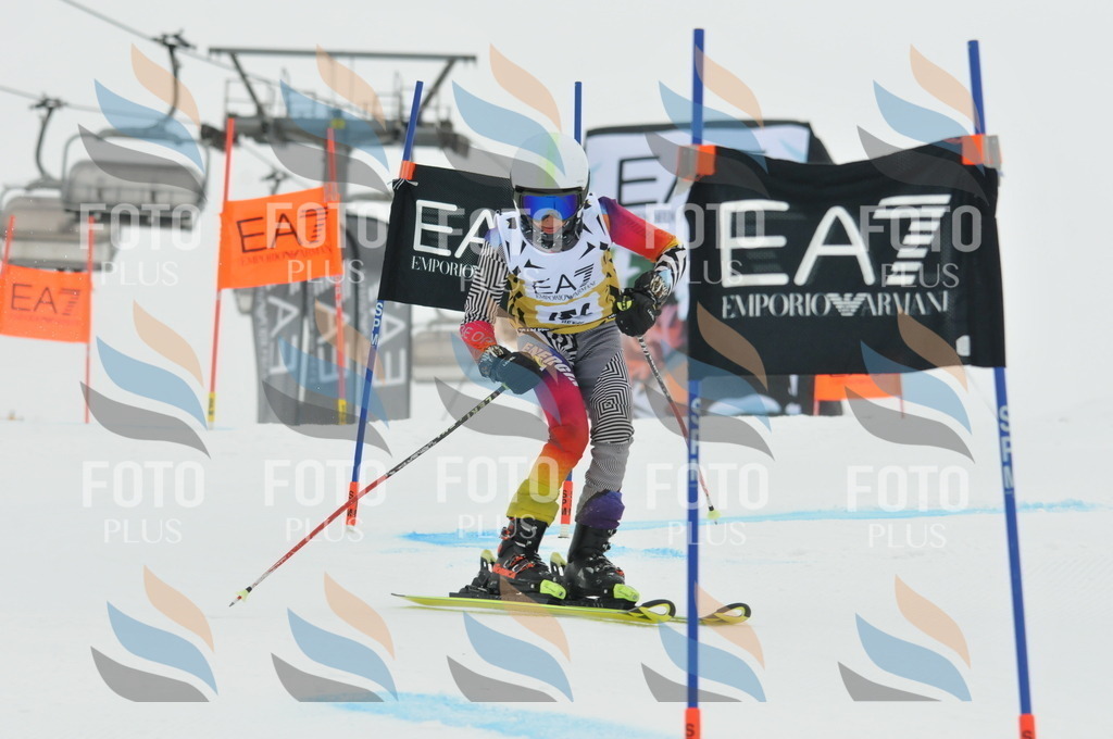 DSC_8484 | holidayphoto