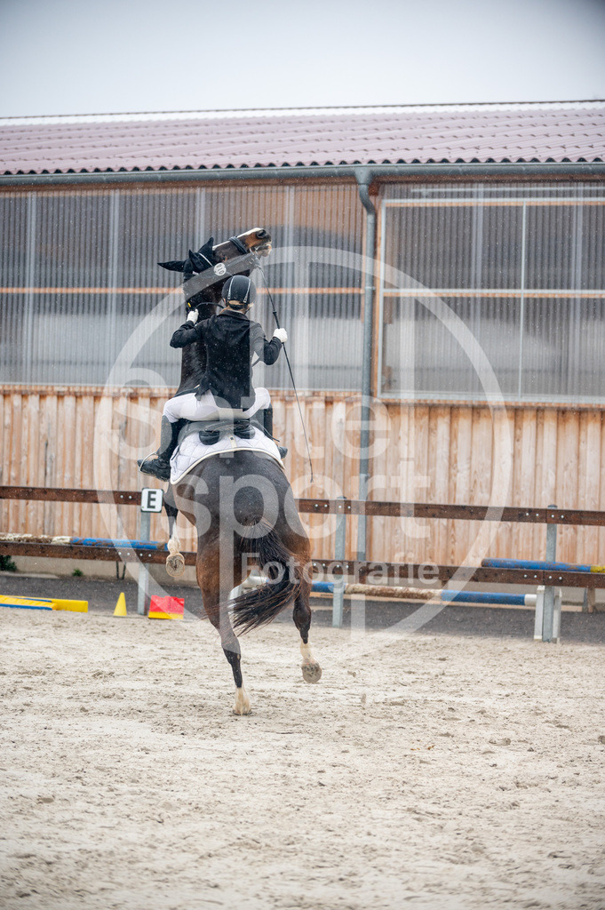 DSC_4571 | sattelsport - Realisiert mit Pictrs.com